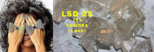 стаф Баксан