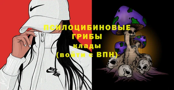 стаф Баксан